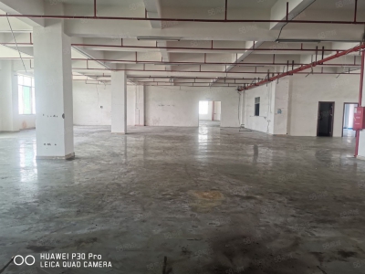 (出租) 东莞凤岗五联园区厂房出租，高度高，一楼2300平分租图2