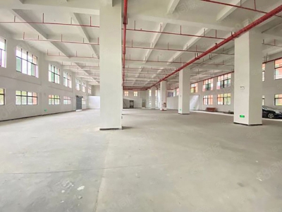 (出租) 东莞凤岗五联园区厂房出租，高度高，一楼2300平分租图4