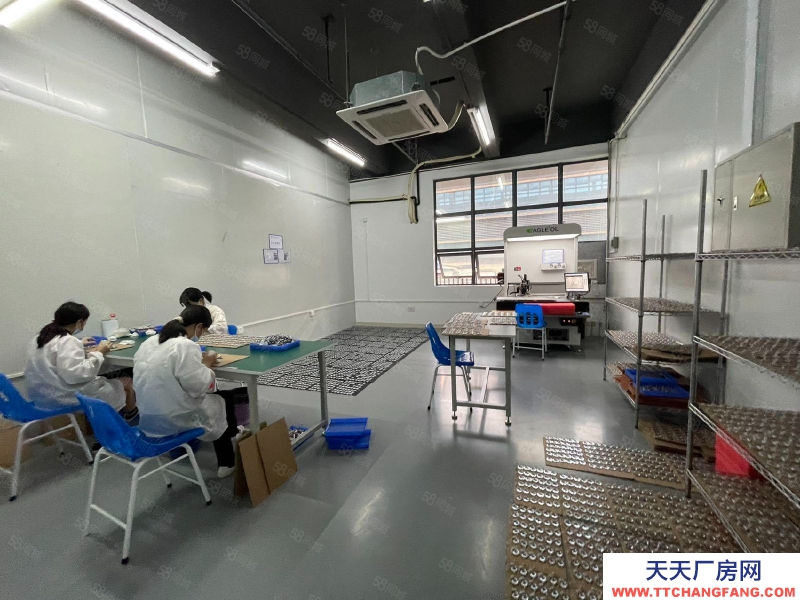 (出租) 原房东直租东莞凤岗新出楼上2000平豪华装修办公室无尘车间