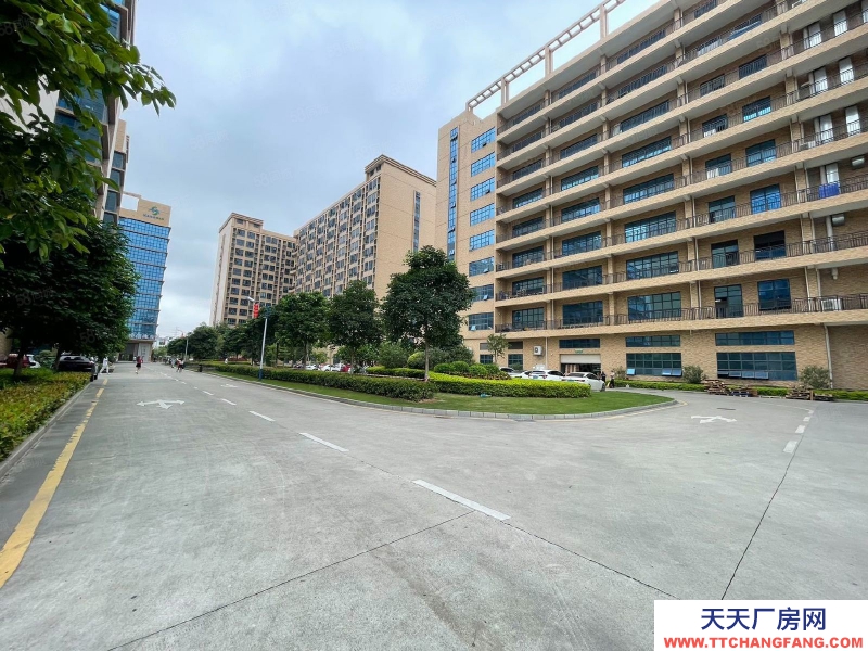 (出租) 原房东直租东莞凤岗新出楼上2000平豪华装修办公室无尘车间
