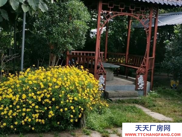 (出租) 可做厂房，仓储，苗圃，农家乐，露天篮球或足球教学场地