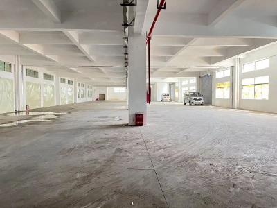 (出租) 东莞麻涌超大空地卸货平台厂房650平可分租出租低价出租图2