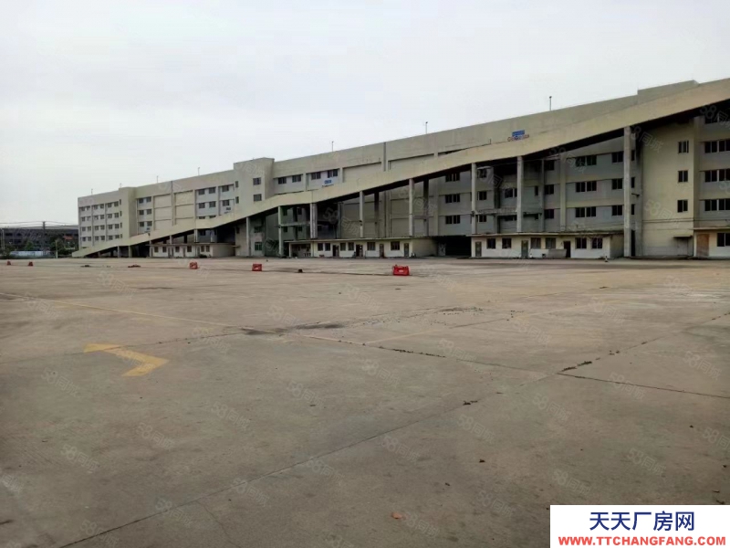 (出租) 东莞麻涌超大空地卸货平台厂房650平可分租出租低价出租