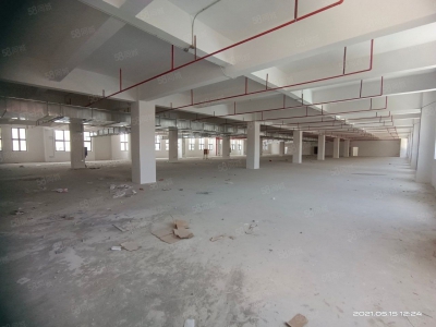 (出租) 可做电池！东莞清溪外环高速出口 4万平全新红本仓库厂房出租 分租图2