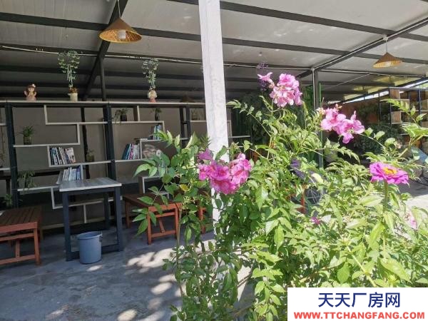 (出租) 出租大理市昆百大泰业城