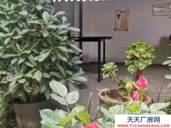 (出租) 出租大理市昆百大泰业城