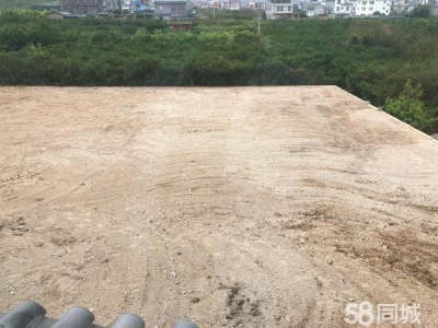 (出租) 214国道旁，荷花村加油站，交通相当便利图3