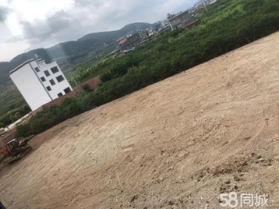 (出租) 214国道旁，荷花村加油站，交通相当便利图1
