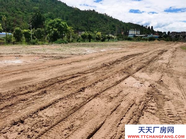 (出租) 红山完小左边，10米宽大道，独立自主，自由使用。