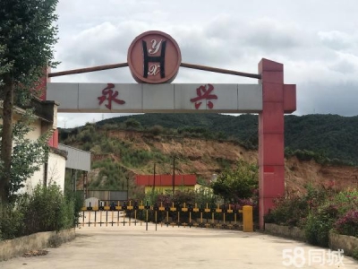 (出租) 凤仪高速路口丰乐村委会厂房出租图3