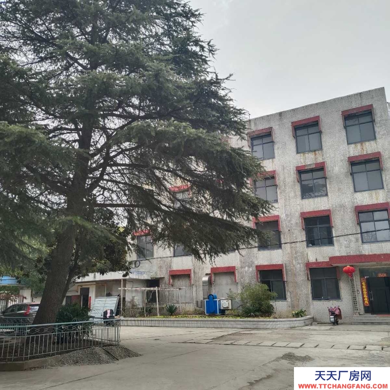 (出租) 蚌埠禹会区东海大道/中粮大道(路口)厂房