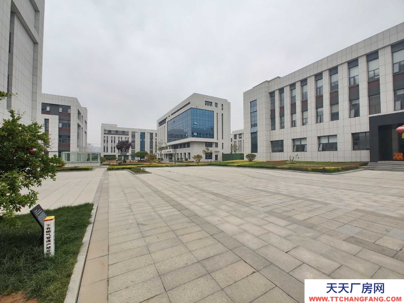枣庄薛城新城九洲双创园区/可办产权/项政策扶持/享银行贷款政策/有贴