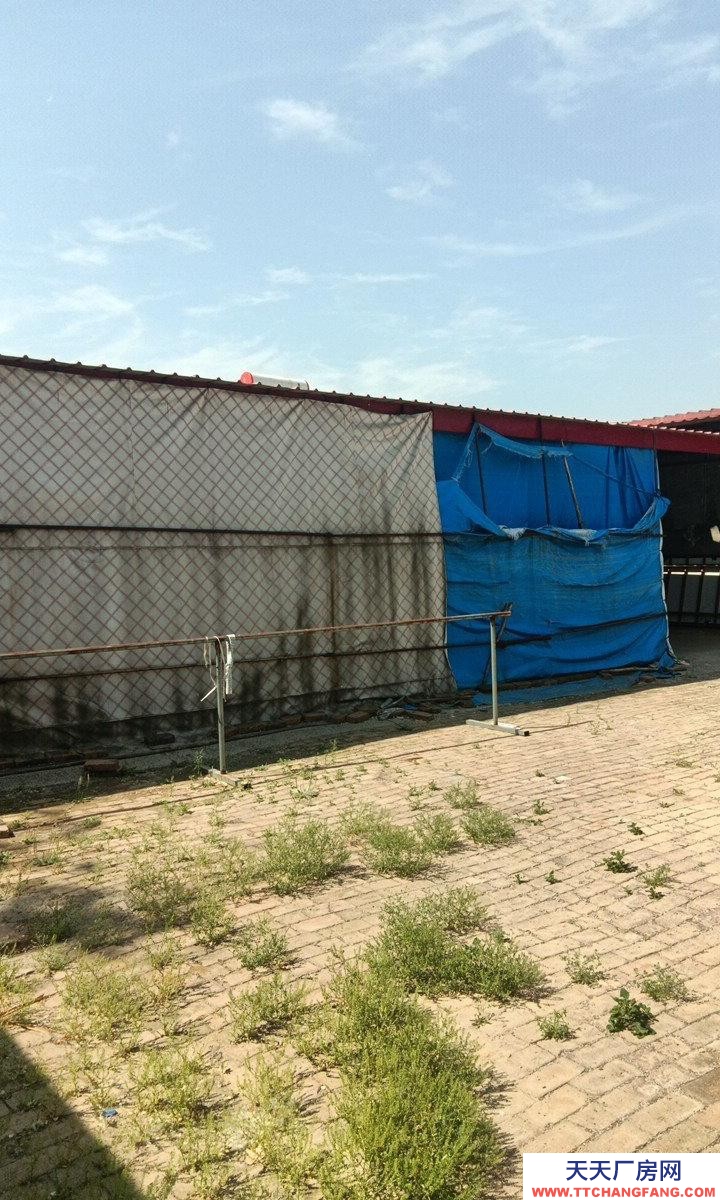 保定 鑫县  独门独院，停车方便，车间，住房，仓库