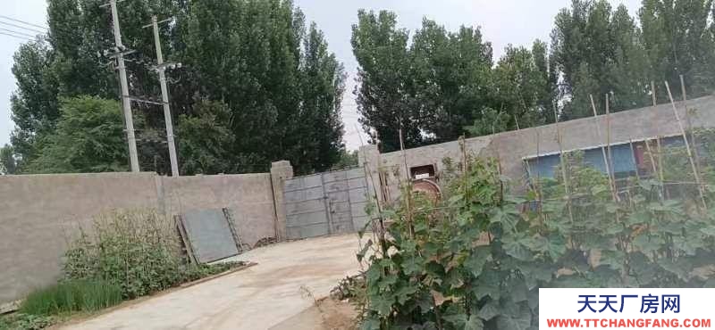 保定 容城  面积较大交通便利水电方便