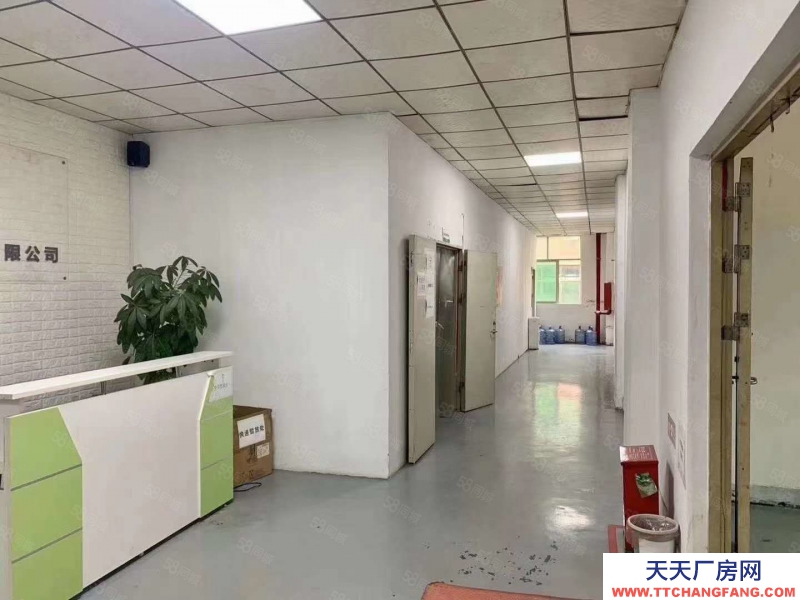 (出租) 东莞小型加工厂出租500平方带装修