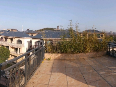 (出售) 蚌埠禹会区别墅出售，600平方精装修图1