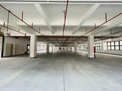 (出租) 东莞凤岗高端园区35万平独栋8000平单层1500平红本厂房出租图3