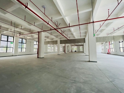 (出租) 东莞凤岗高端园区35万平独栋8000平单层1500平红本厂房出租图4