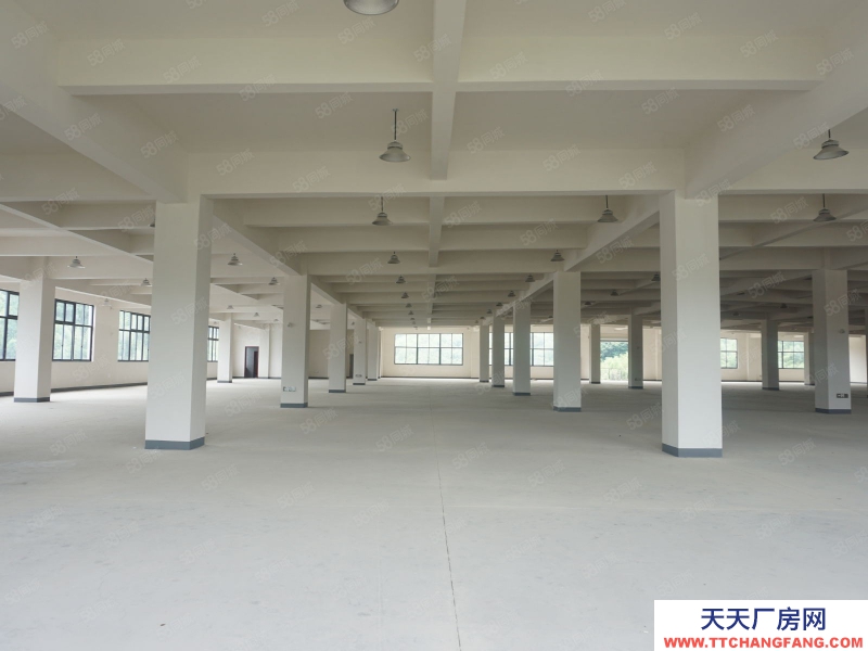 杭州临安(出租) 板桥新建3000方厂房出租（带行车）
