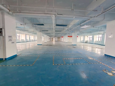 (出租) 东莞寮步原房东标准楼上1000平方厂房出租，疫情期间便宜出租图1