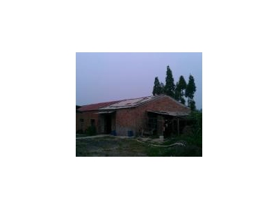(出售) 襄阳南漳 蛋鸡养殖场，背靠梅园水库，南漳九集大沟村图4