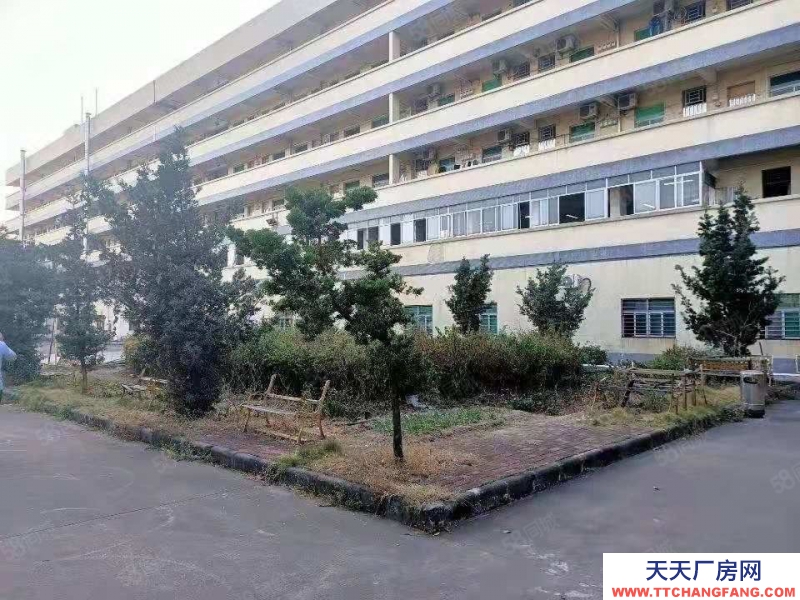 (出租) 东莞道窖新出花园式独门独院6800平 滴水11米 带行车超大空地