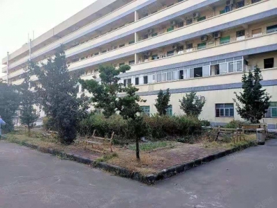 (出租) 东莞道窖新出花园式独门独院6800平 滴水11米 带行车超大空地图1