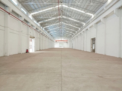 (出租) 东莞道窖新出花园式独门独院6800平 滴水11米 带行车超大空地图3