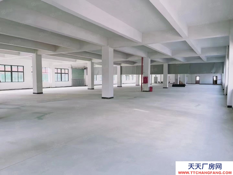 (出租) 东莞市樟木头樟洋全新厂房高速路口标准10万平厂房出租