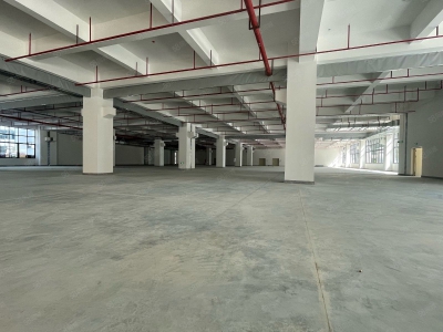 (出租) 东莞松山湖工业区红本原房东全新重工业厂房出租35000平方可分租图3