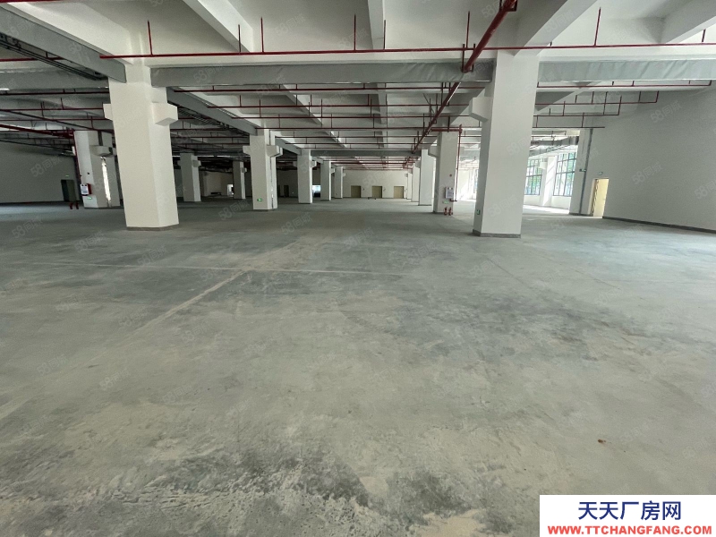 (出租) 东莞松山湖工业区红本原房东全新重工业厂房出租35000平方可分租