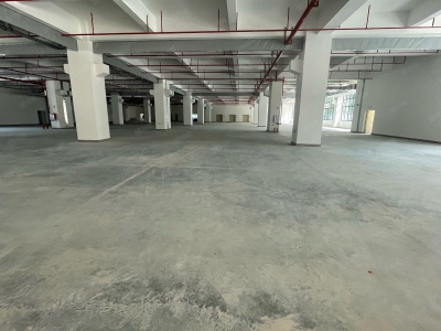 (出租) 东莞松山湖工业区红本原房东全新重工业厂房出租35000平方可分租图4