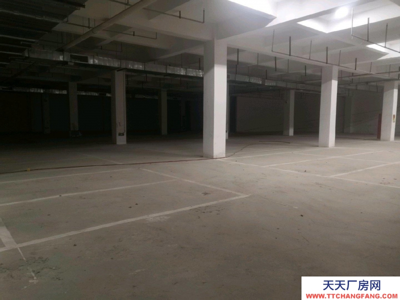 (出租) 蚌埠禹会区居然之家闲置摊位