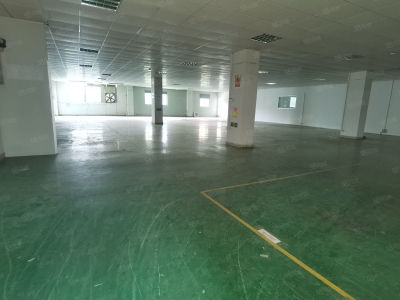 (出租) 东莞独立厂房520平，860平，1700平等各种规格，形象高大上图2