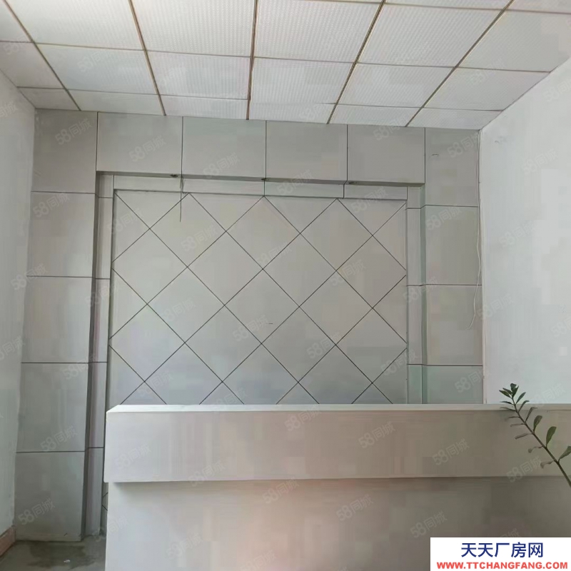 (出租) 东莞独院厂房出租，长安镇宵边全新小独院3层4000平带地坪漆厂房