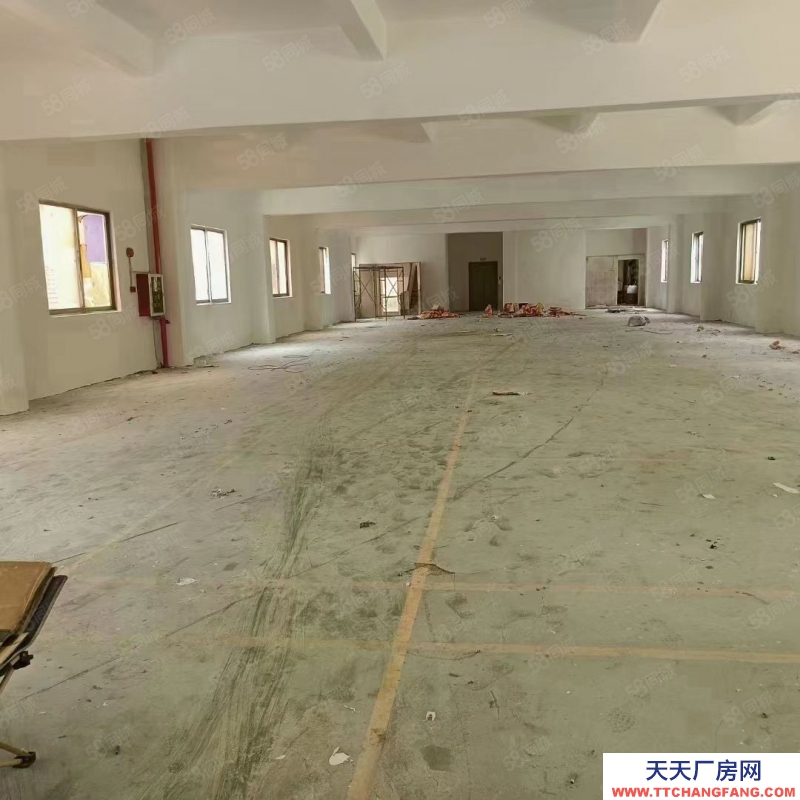 (出租) 东莞独院厂房出租，长安镇宵边全新小独院3层4000平带地坪漆厂房