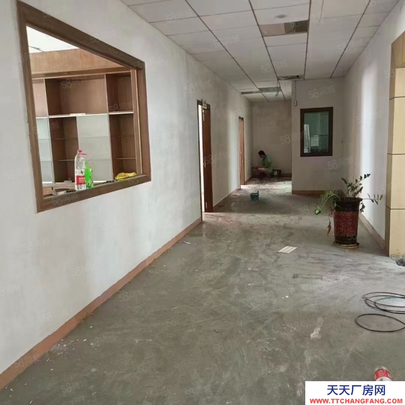 (出租) 东莞独院厂房出租，长安镇宵边全新小独院3层4000平带地坪漆厂房