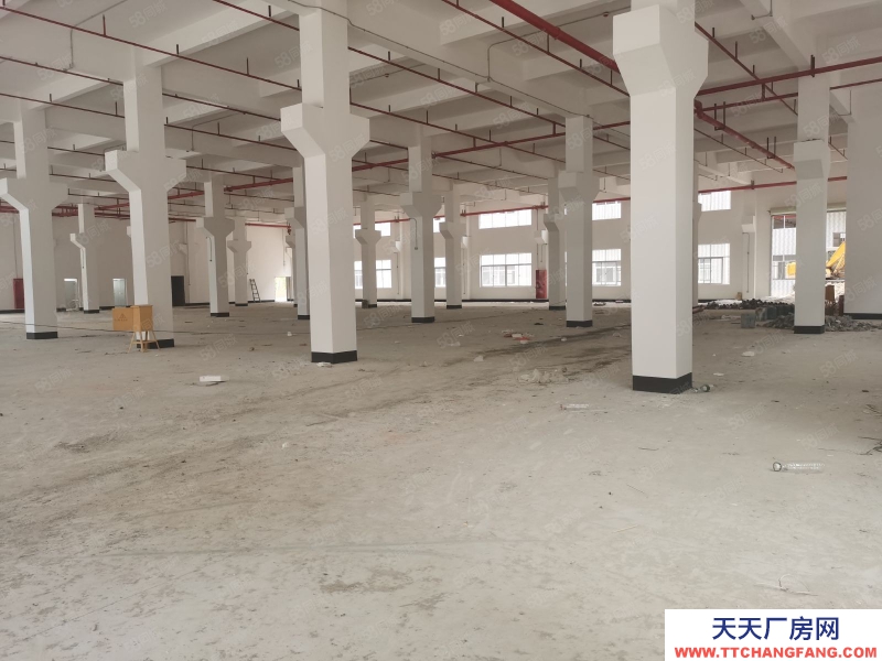 (出租) 东莞超低价原房东红本10元200平起石排无公摊厂房仓库一楼出租