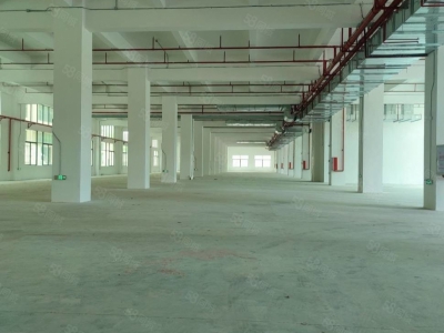 (出租) 东莞重工业厂房火爆招租 自带家具环评 可分租 证件齐全图2