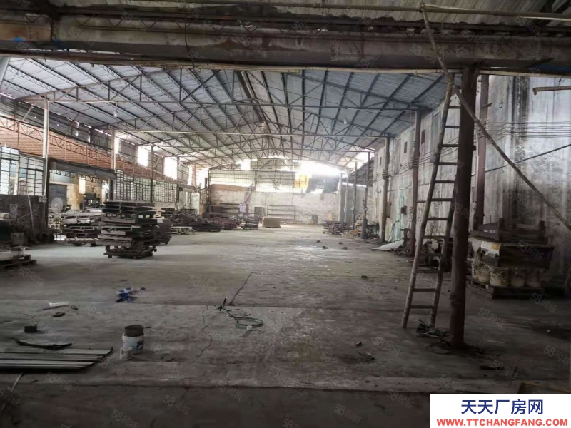 (出租) 东莞麻涌独门独院厂房仓库低价出租交通便利