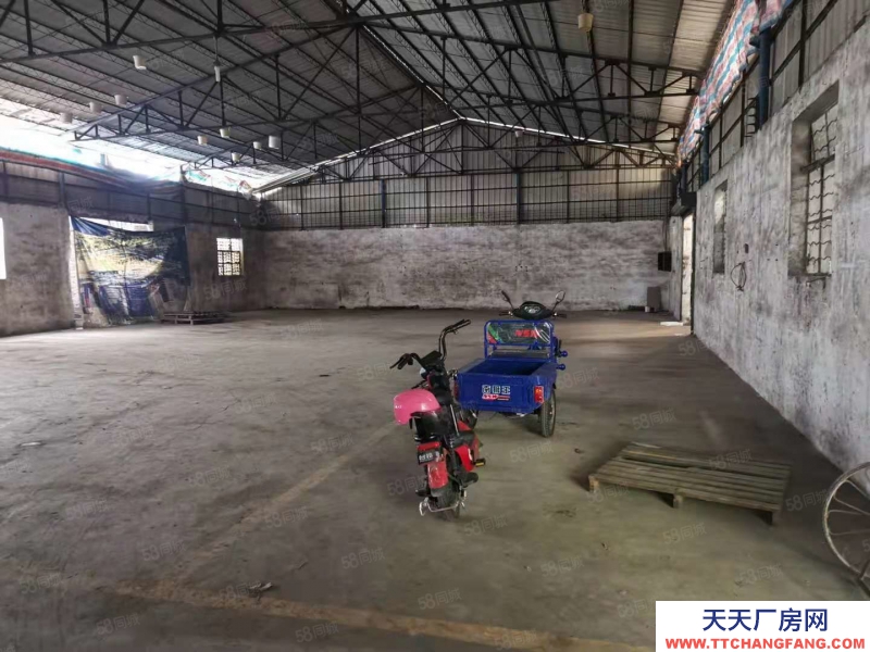 (出租) 东莞麻涌独门独院厂房仓库低价出租交通便利