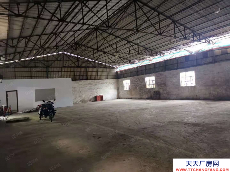 (出租) 东莞麻涌独门独院厂房仓库低价出租交通便利