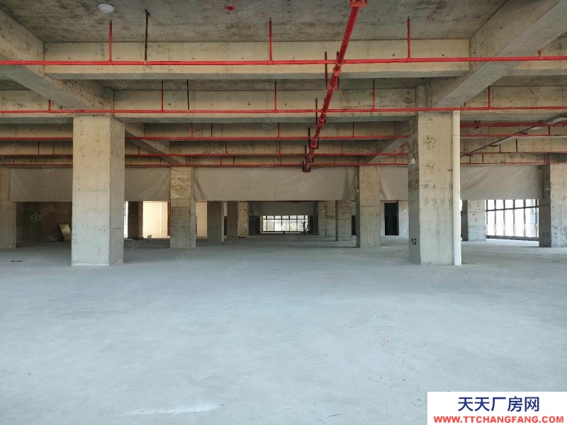 (出售) 东莞全新标准厂房出售1000平起 首付3成起 整层2000平