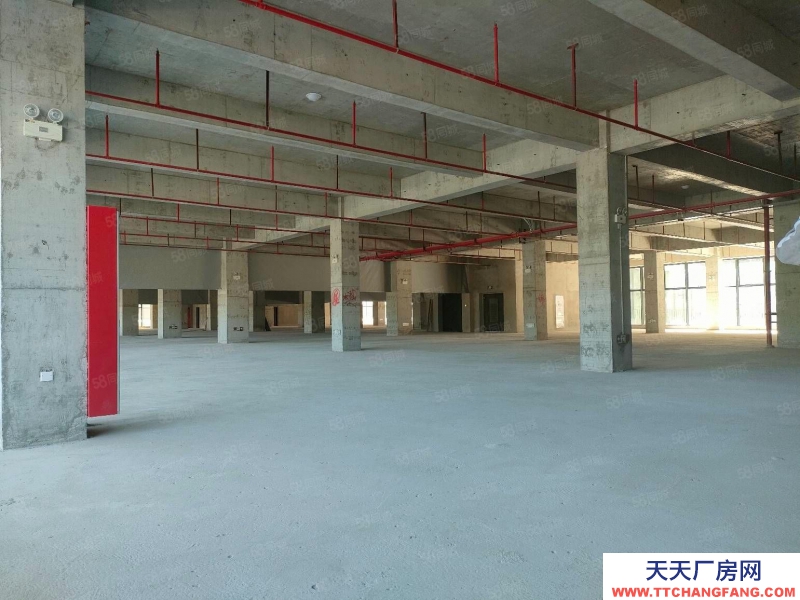 (出售) 东莞全新标准厂房出售1000平起 首付3成起 整层2000平