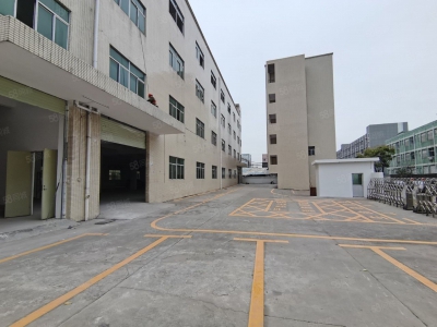 (出售) 东莞长安宵边新出6000平厂房出售带工业红本股权过户图3