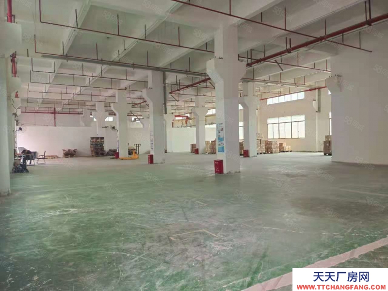 (出售) 东莞长安宵边新出6000平厂房出售带工业红本股权过户