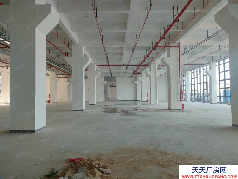(出售) 东莞中堂红本现房出售整层2000平1000平起售首付三成起50年