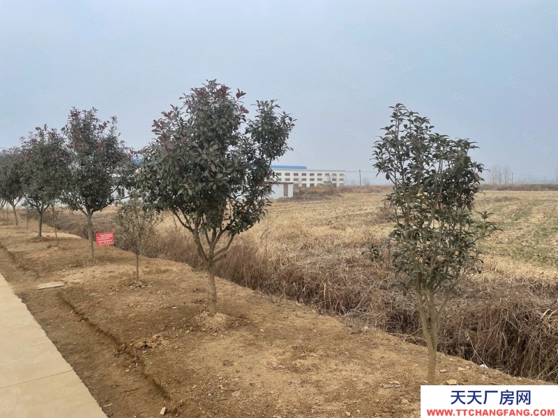 (出售) 蚌埠淮上沫河口工业园 285亩土地 50000平方厂房 主路边上