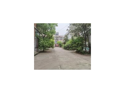 (出租) 襄阳谷城三幢厂房 一幢宿舍楼 一幢办公楼图1