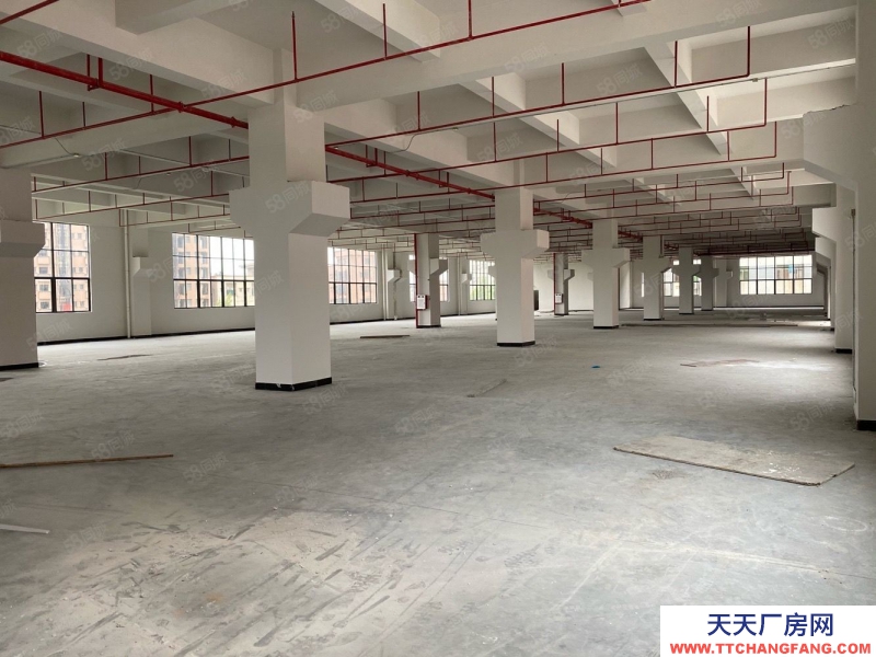 (出售) 东莞凤岗M1工改工厂房出售，50年独立红本，首付三成，贷款十年。